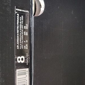 Jordan 6 Retro Pinnacle